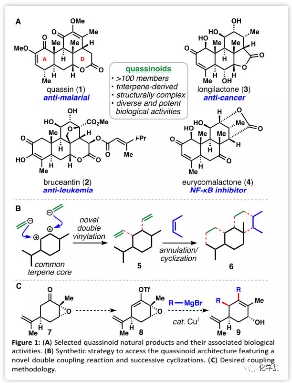 1542857704106050.png image.png