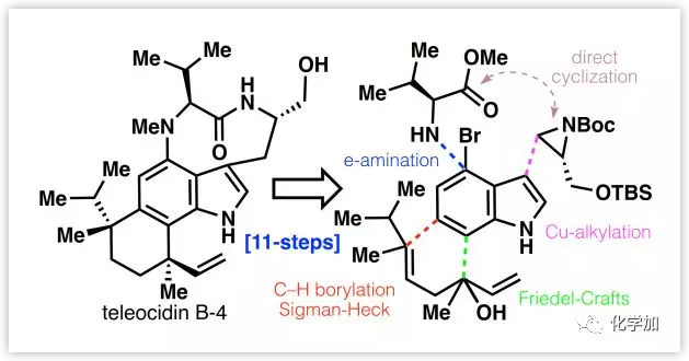 1548124388263187.png image.png