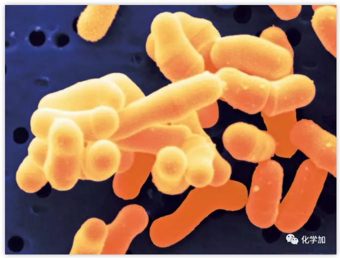 1548647595422072.png image.png