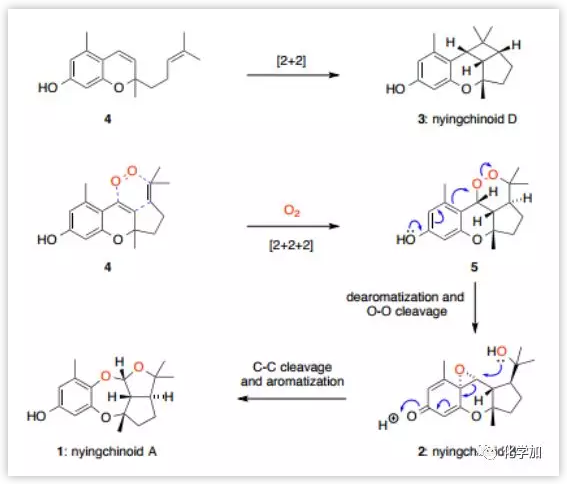 1548648036261139.png image.png