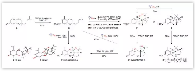 1548648054393191.png image.png