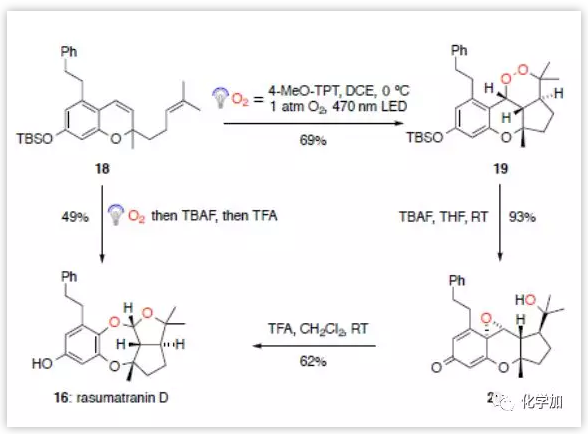 1548648080532577.png image.png