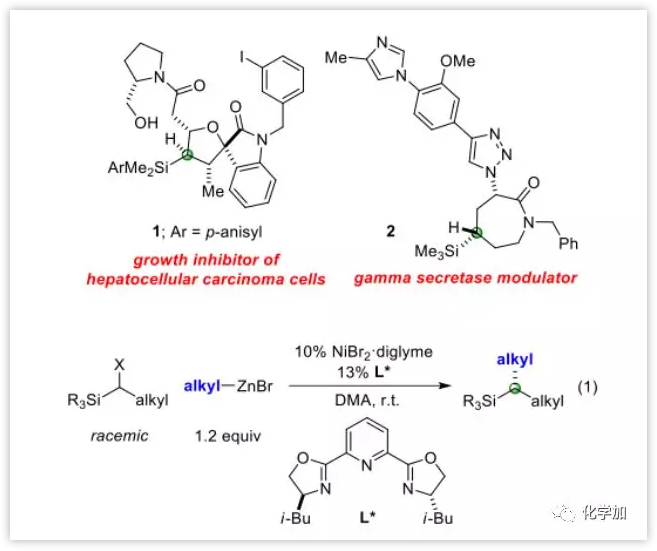 1550460952815260.png image.png