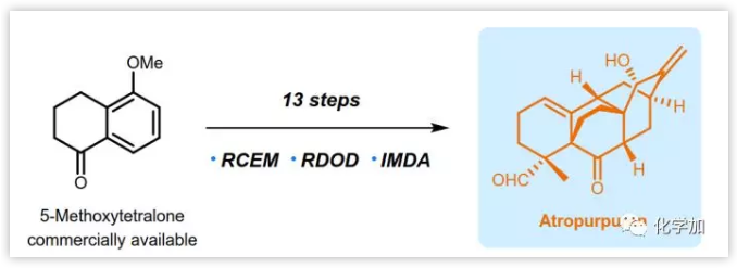 1551074235911107.png image.png