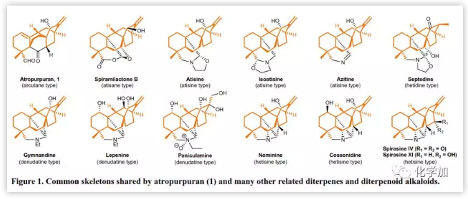 1551074244958622.png image.png