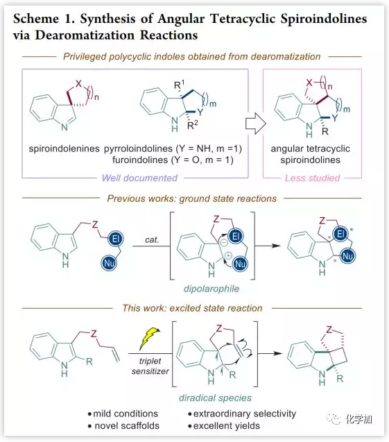 1551757923324739.png image.png