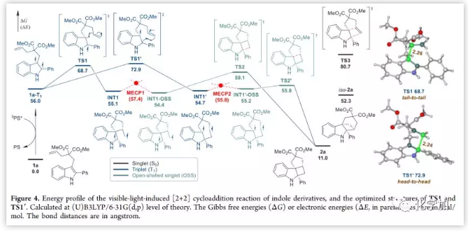 1551758018247663.png image.png