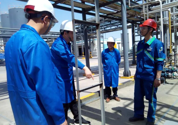 1591153062502946.png image.png