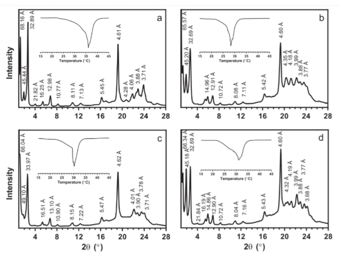 1630631291832622.png image.png