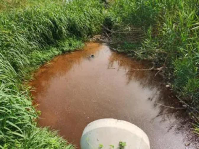 1631496974872925.png image.png