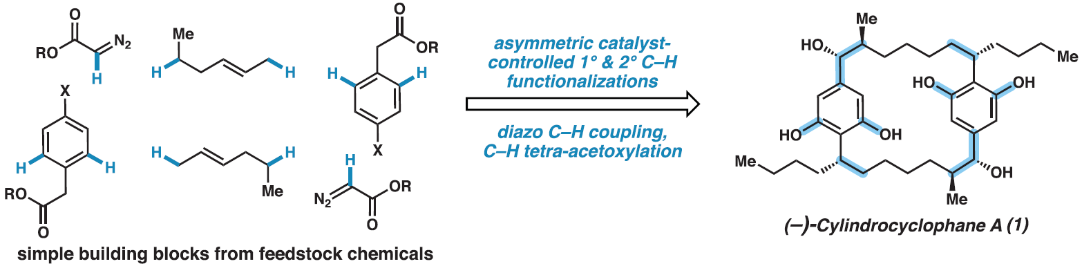 1731400377675148.png 1.png