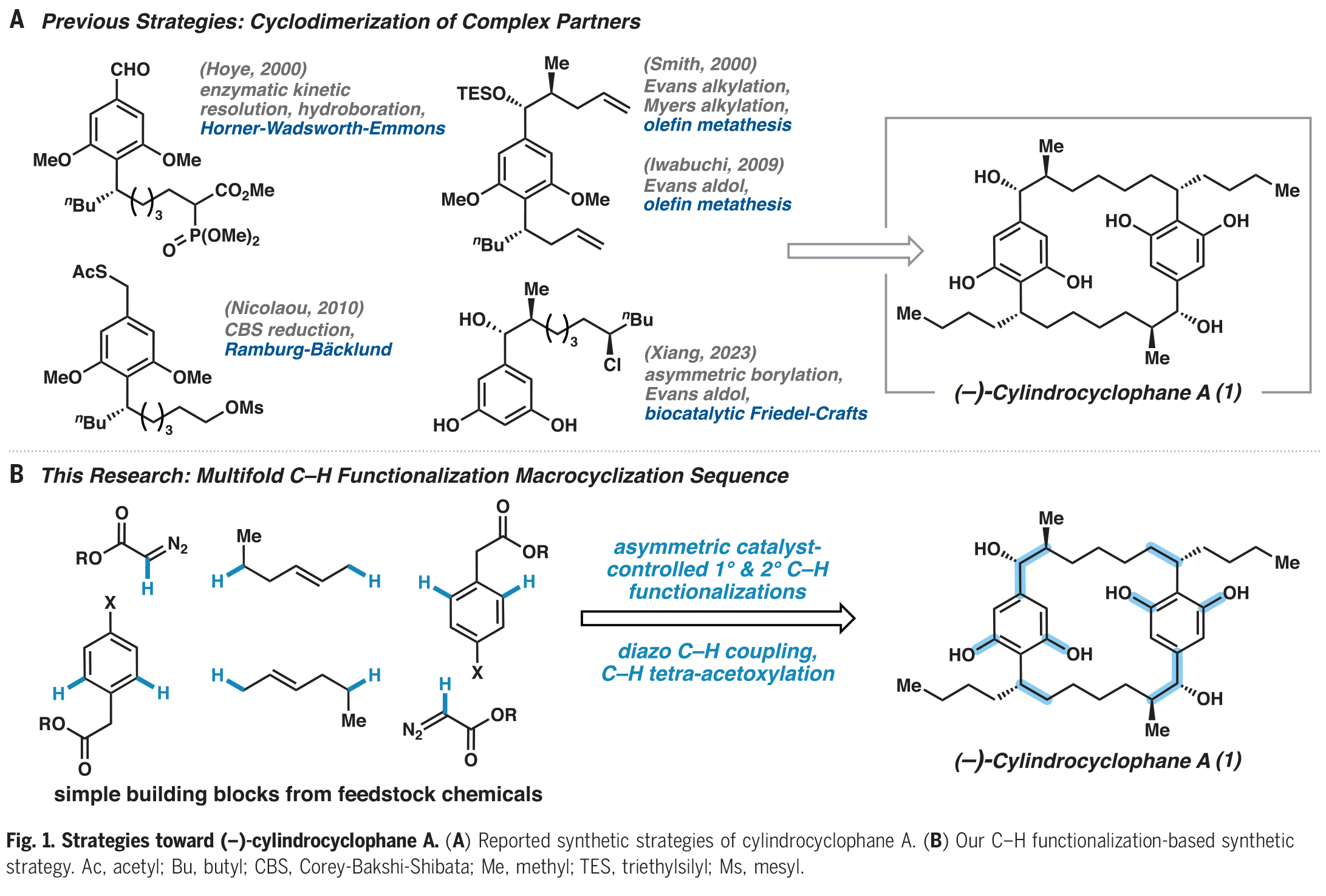 1731400383500793.jpg 2.jpg