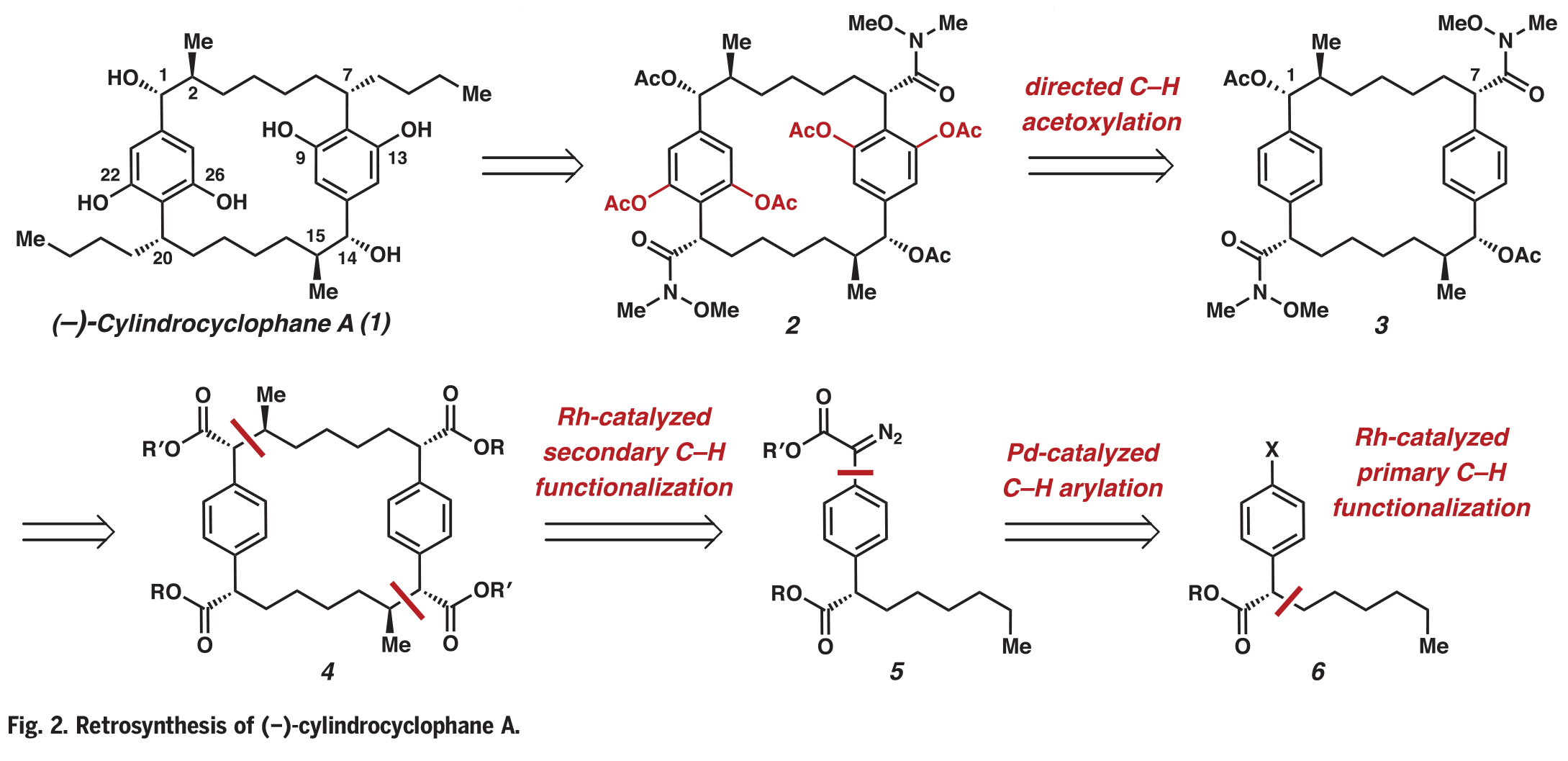 1731400389990276.jpg 3.jpg