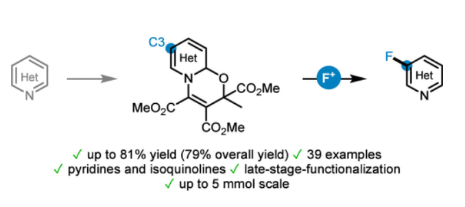 1731987336961912.png 圖片1.png