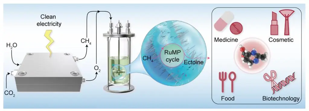 1732002635938612.jpg 01.jpg