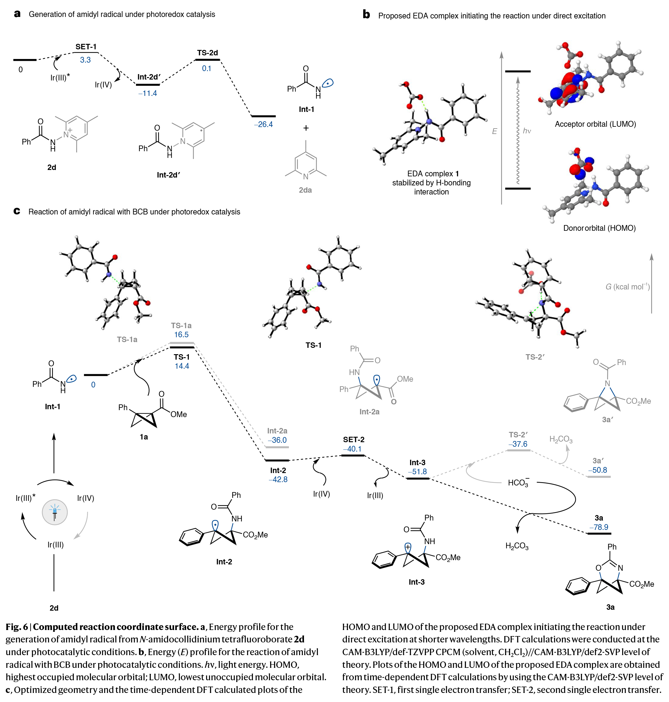 1733468151963524.jpg 7.jpg