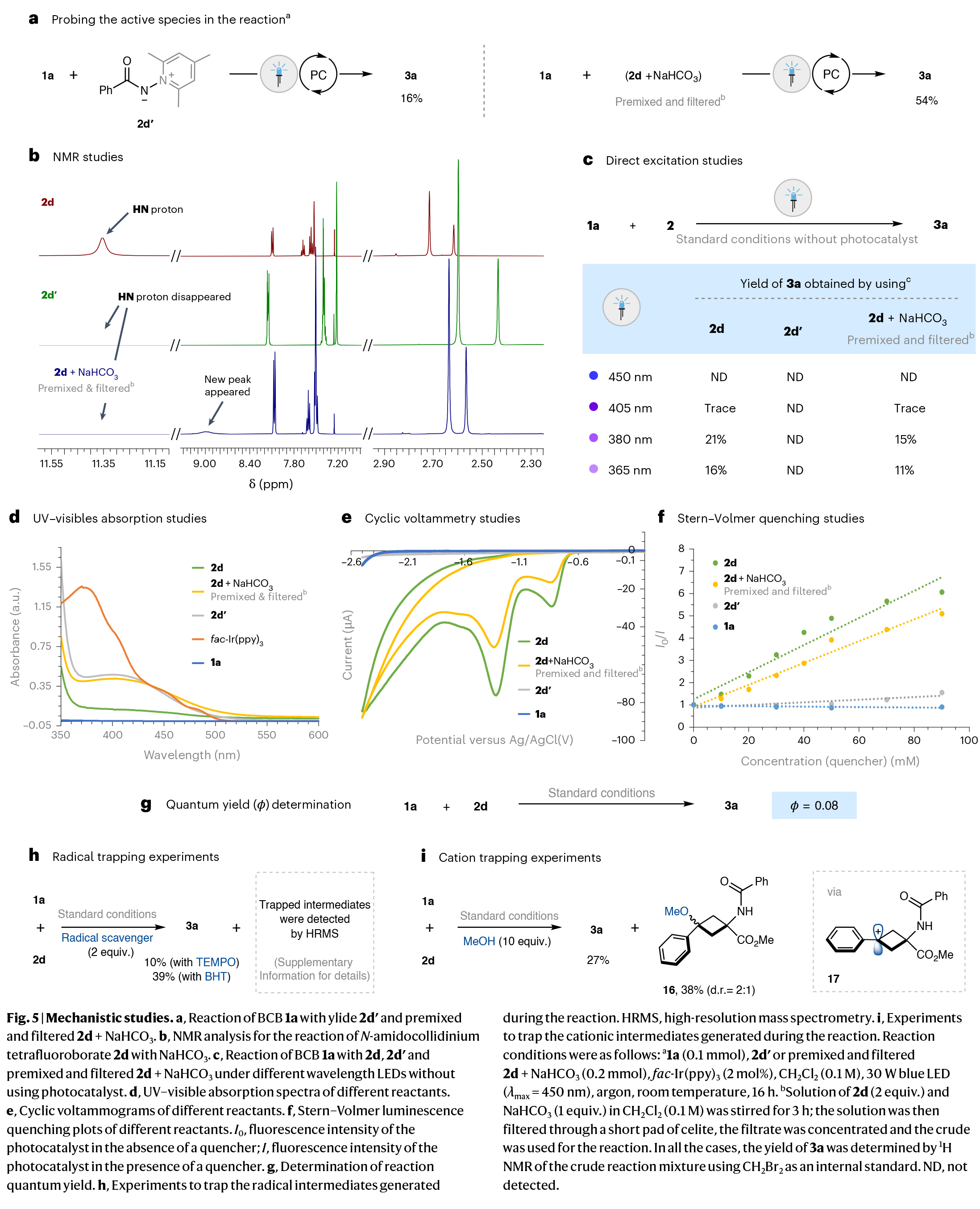 1733468154227817.jpg 6.jpg