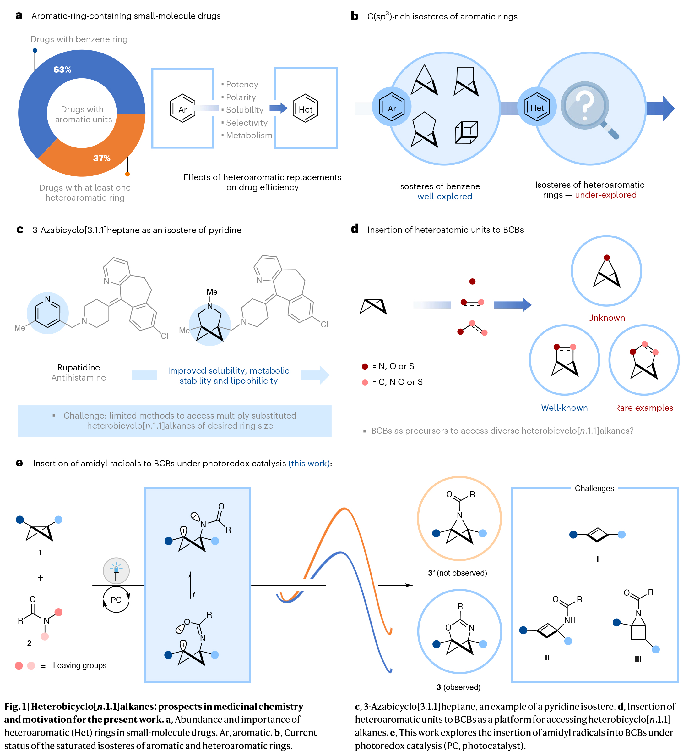 1733468172148081.jpg 2.jpg