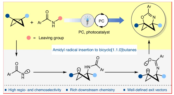 1733468178993100.png 1.png