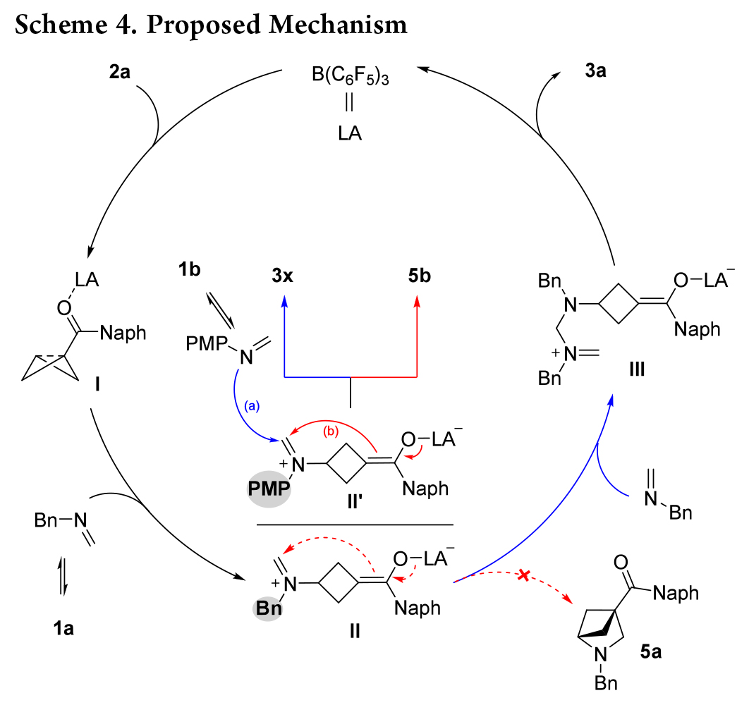 1733470015934636.jpg 6.jpg