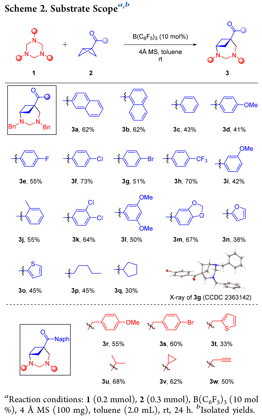 1733470026643274.jpg 4.jpg