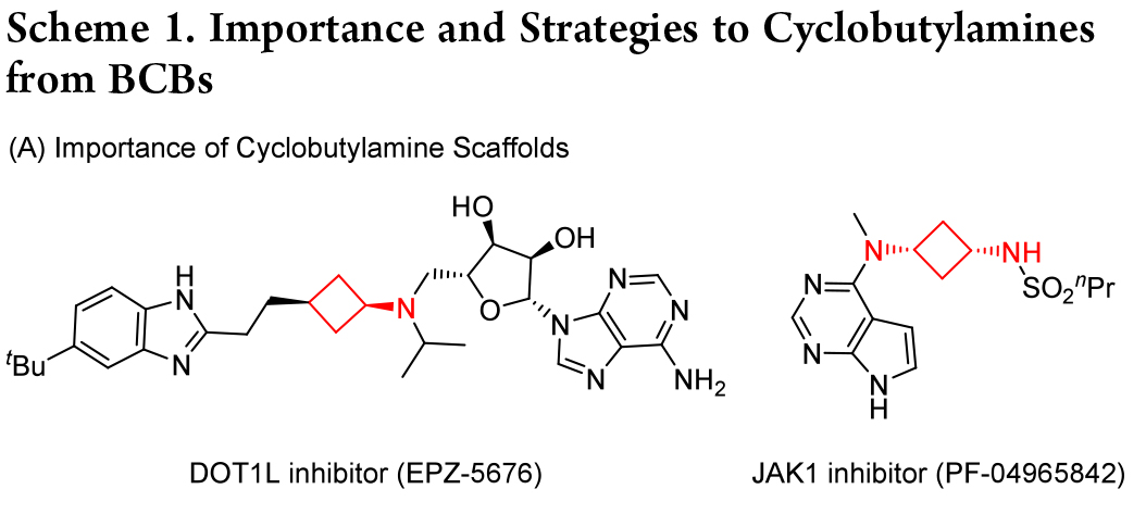 1733470033525416.jpg 2.jpg