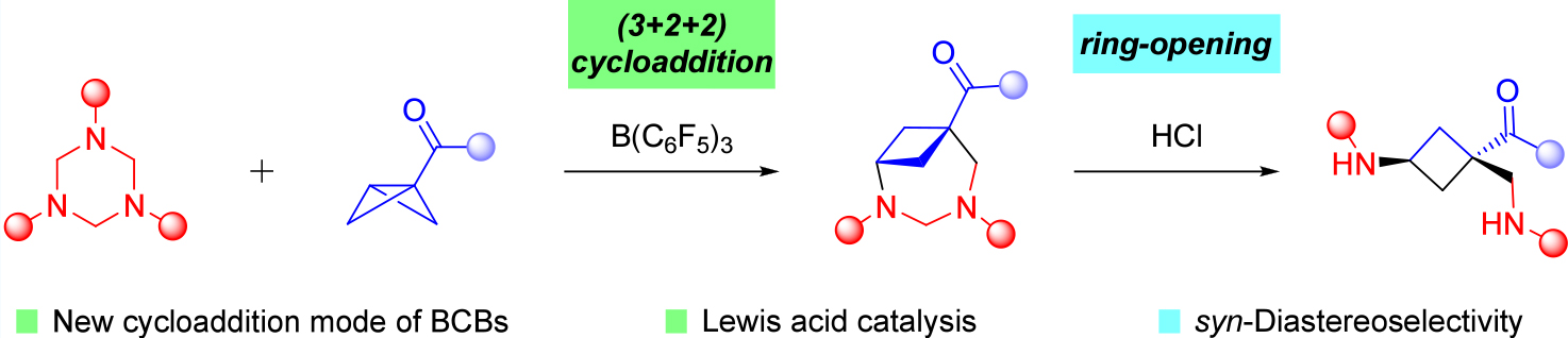 1733470038732860.jpg 1.jpg