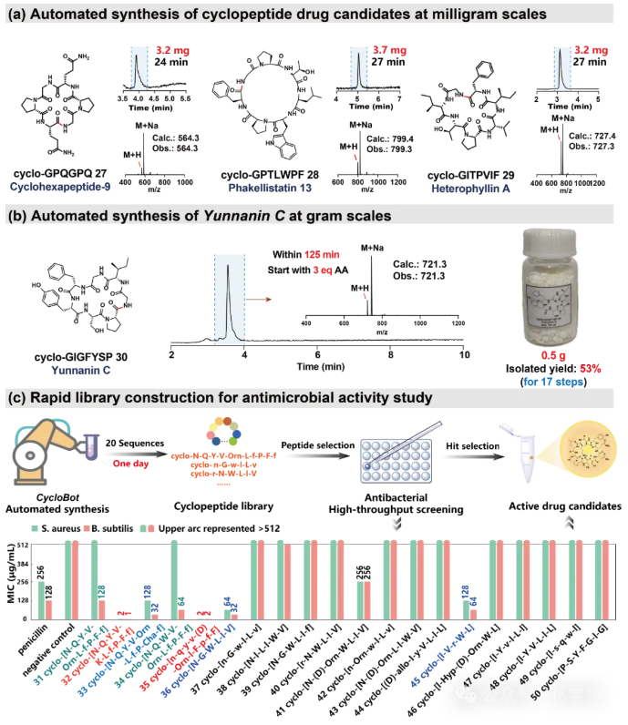 1766477089956404.png image.png